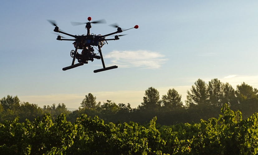 O uso de drones no combate ao desmatamento